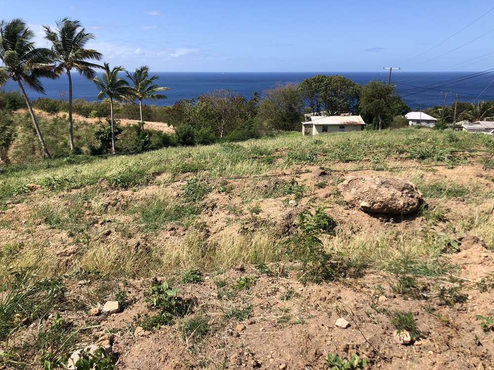 30000 q ft land for sale choiseul