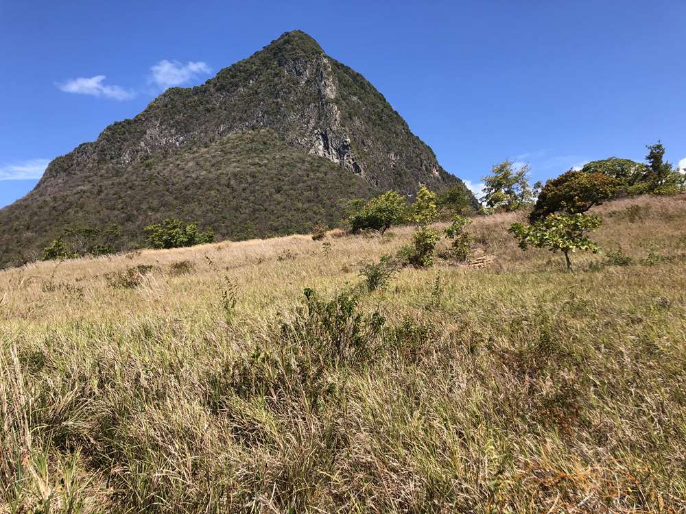 1.5 acre land for sale at Delcer choiseul