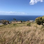 land for sale in choiseul delcer