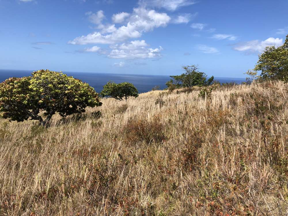 houses for sale in st lucia sea views