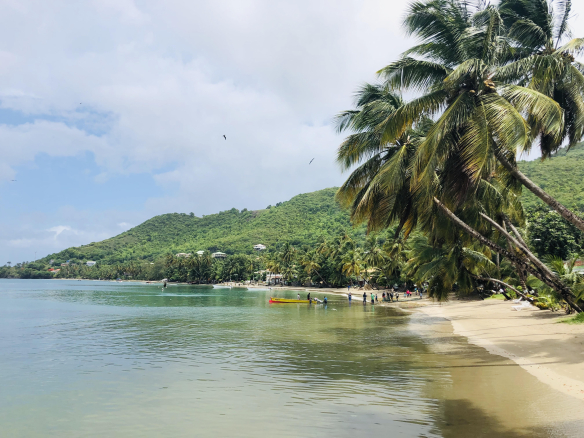 Moving to Saint Lucia