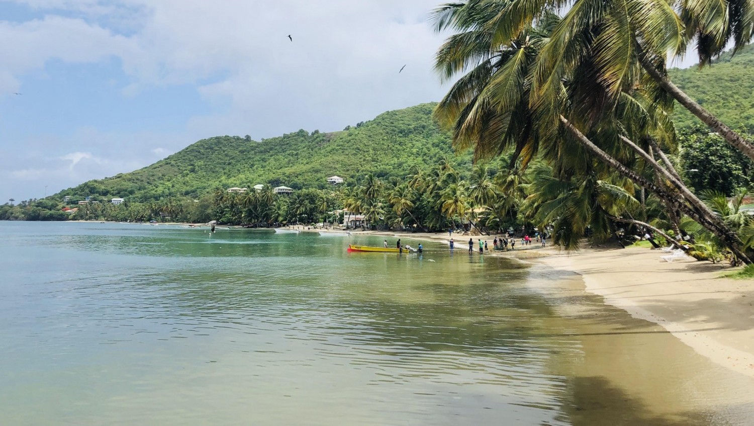 Moving to Saint Lucia