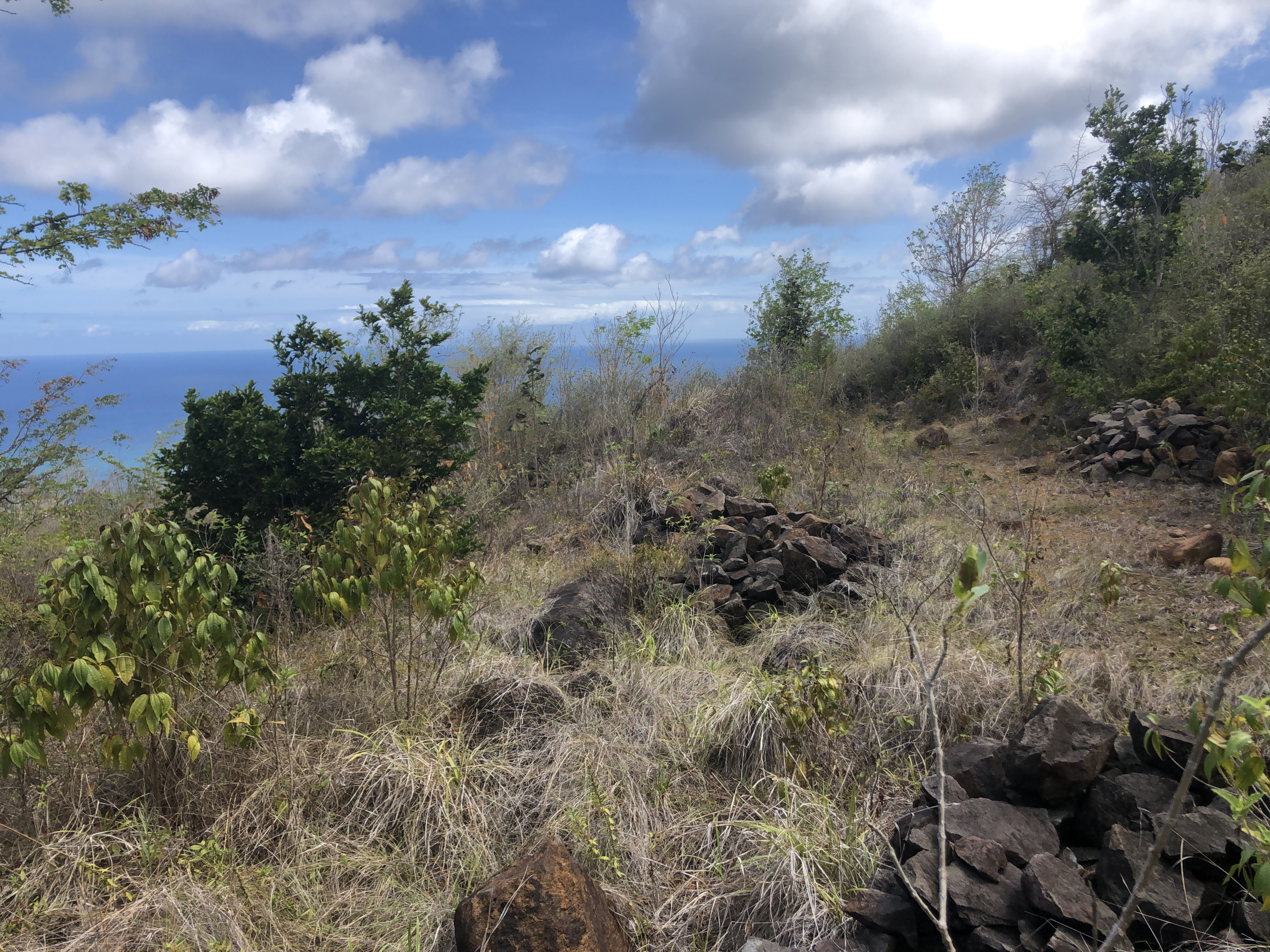 land for sale in laborie homes for sale