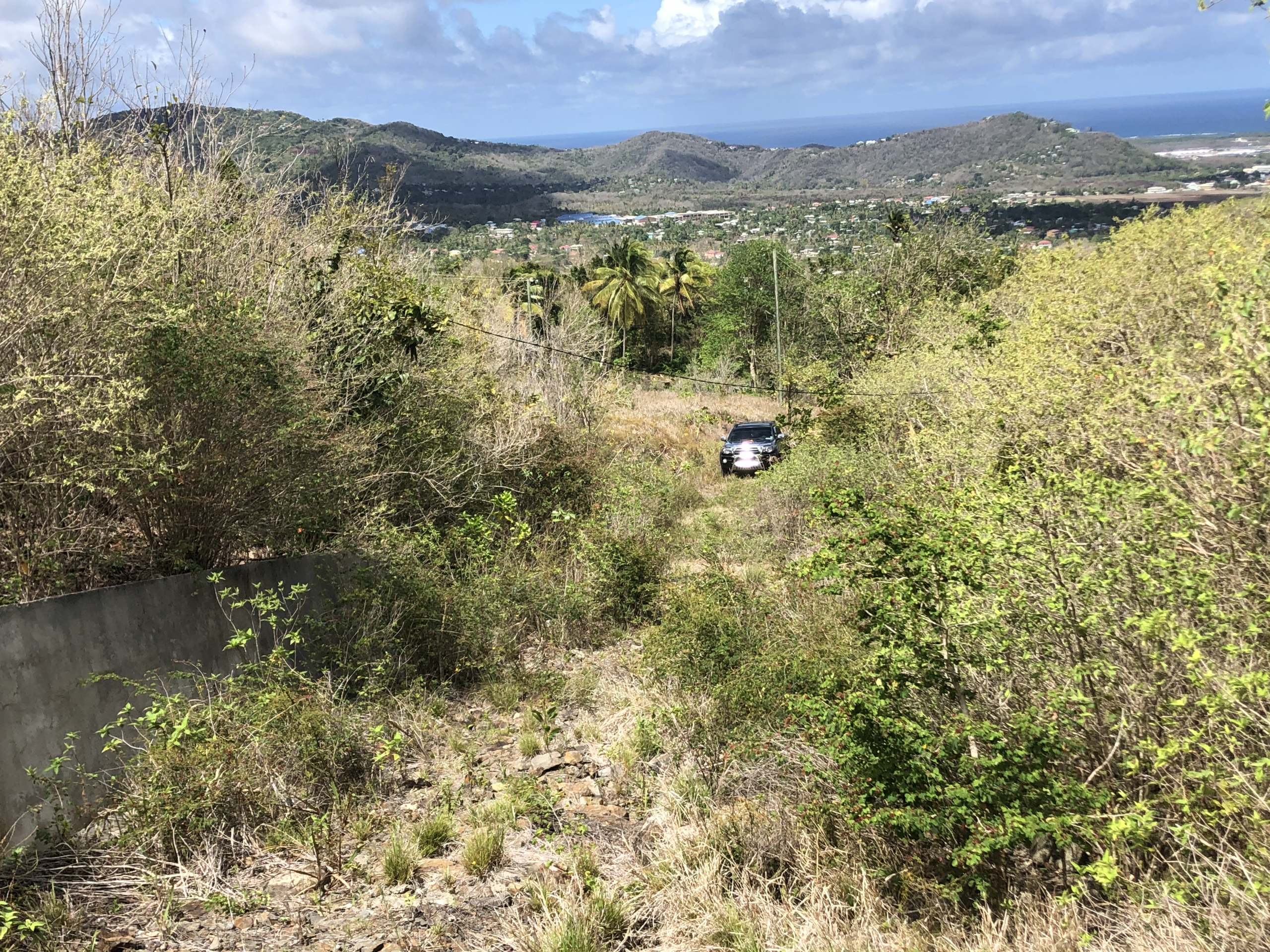 land for sale in laborie driveway