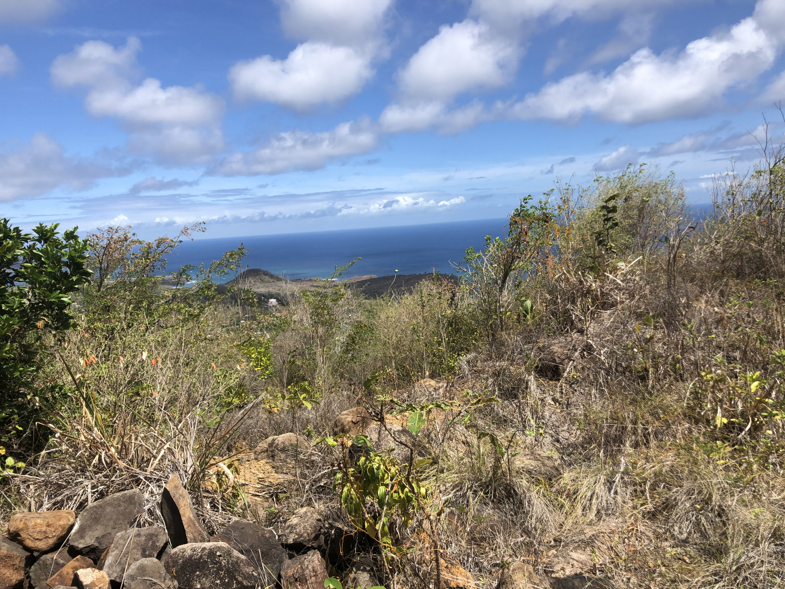 land for sale in laborie homes