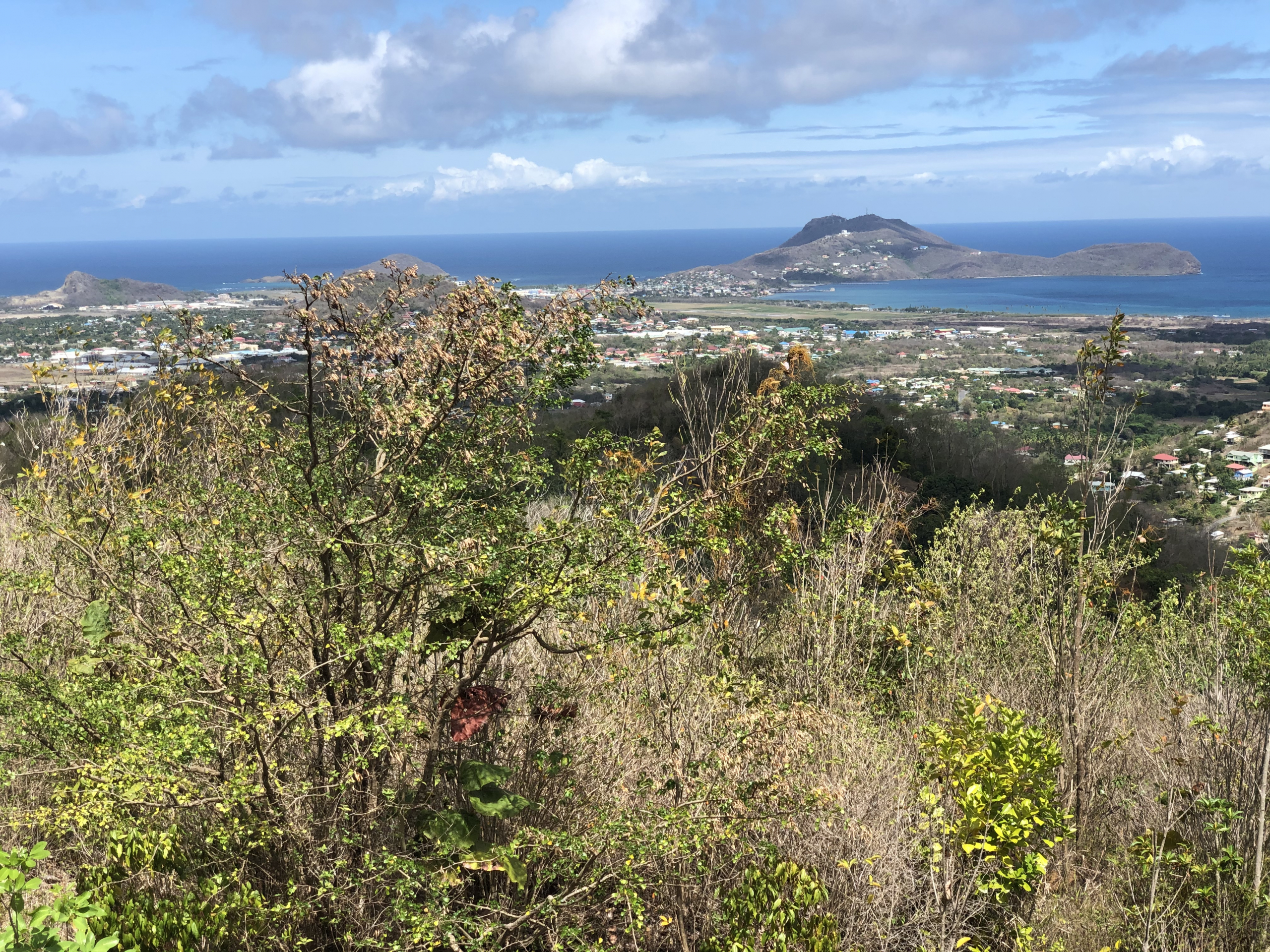 land for sale in laborie st lucia views