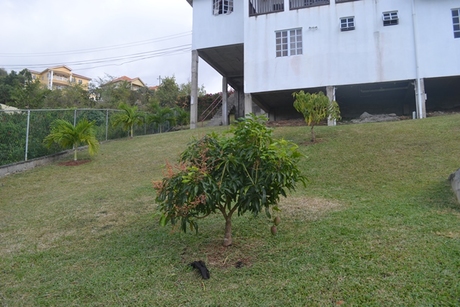 house for sale in beausejour st lucia yard