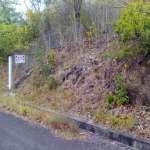 cedar heights vieux fort land for sale