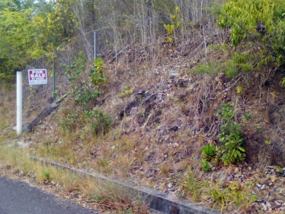 cedar heights vieux fort land for sale