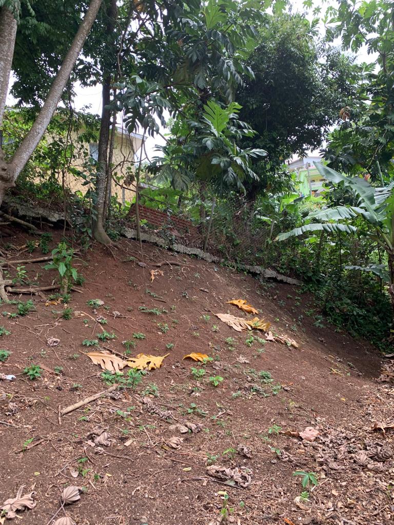 houses for sale in coubaril st lucia