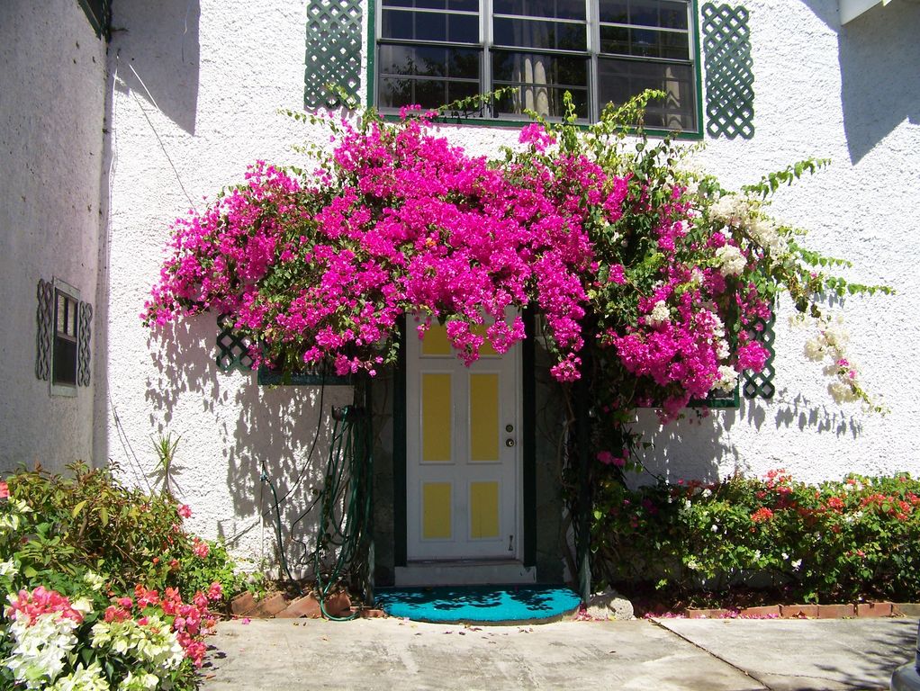 st lucia property market 2020