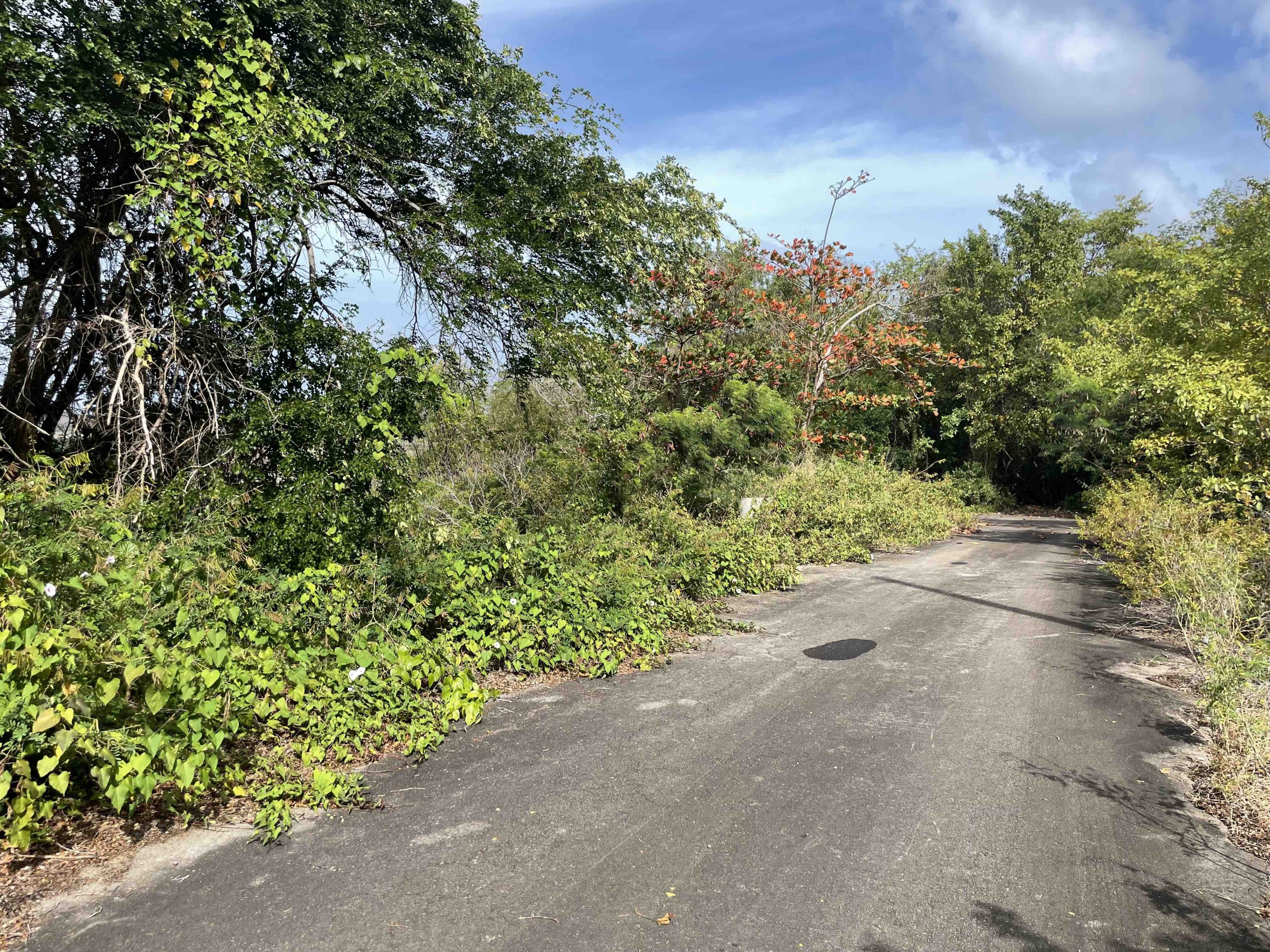 St Lucia Real Estate cap estate south hill bush