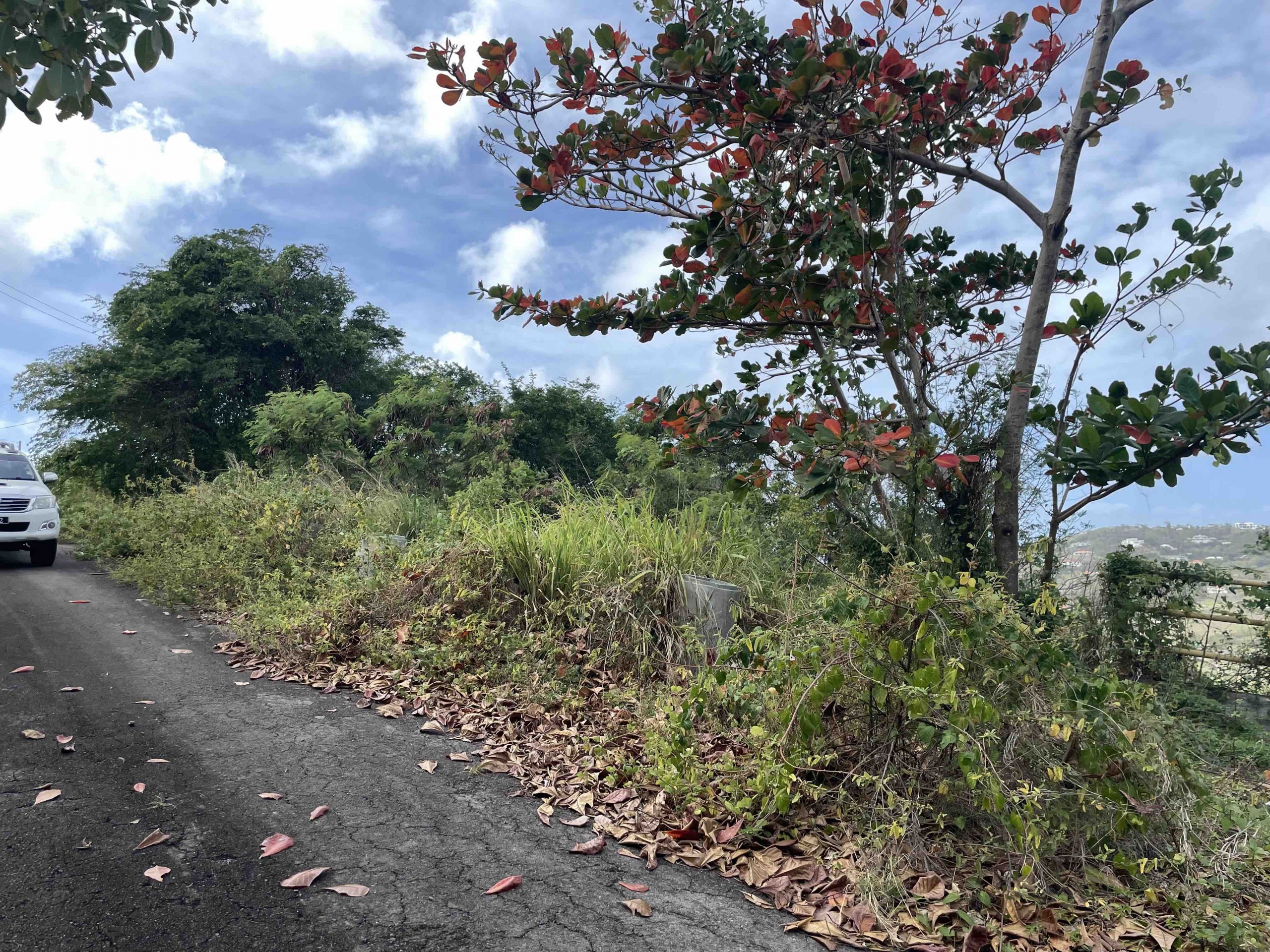St Lucia Real Estate cap estate south hill trees