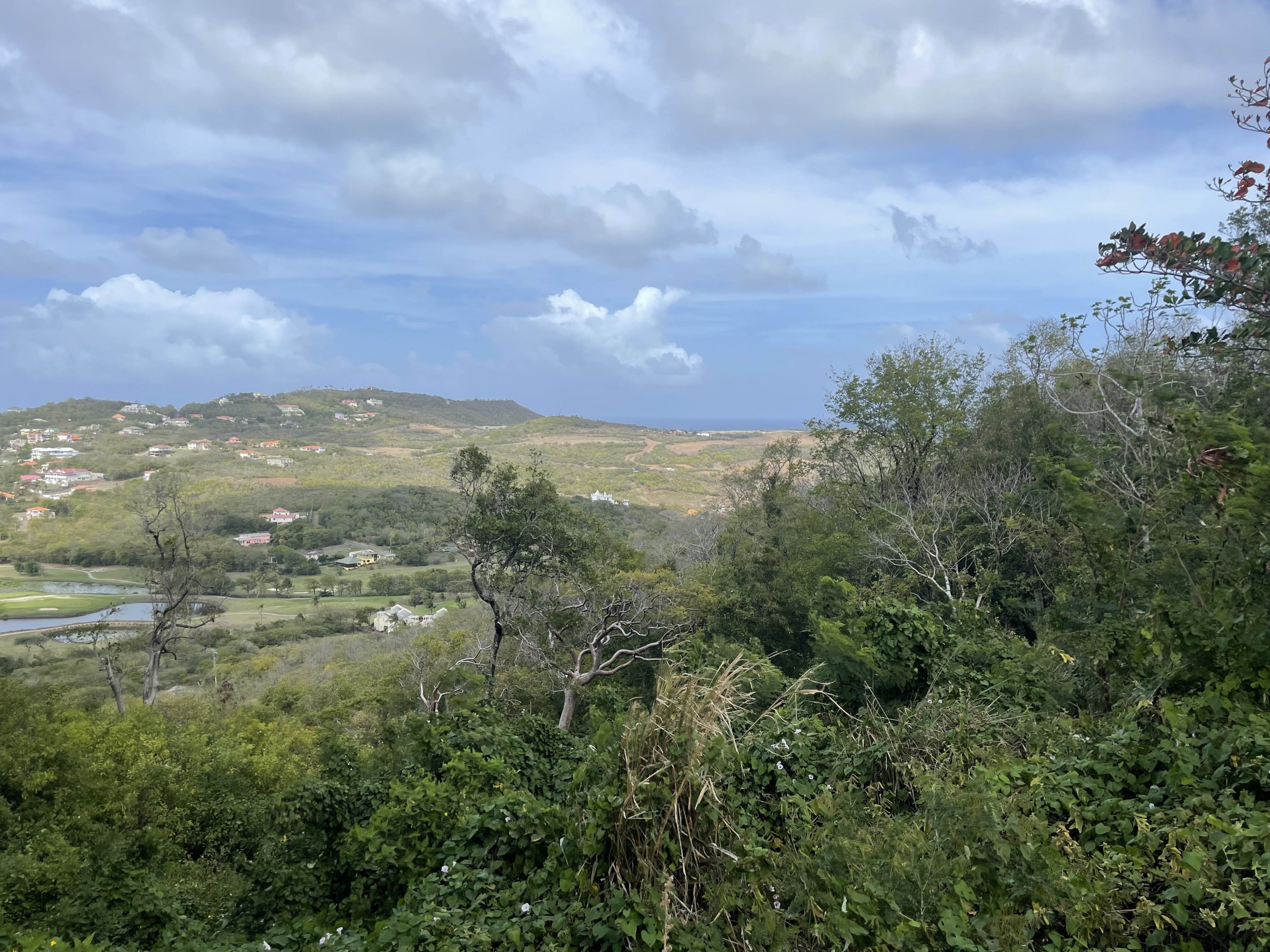 St Lucia Real Estate cap estate south hill for sale