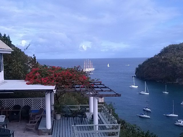 caribbean mls