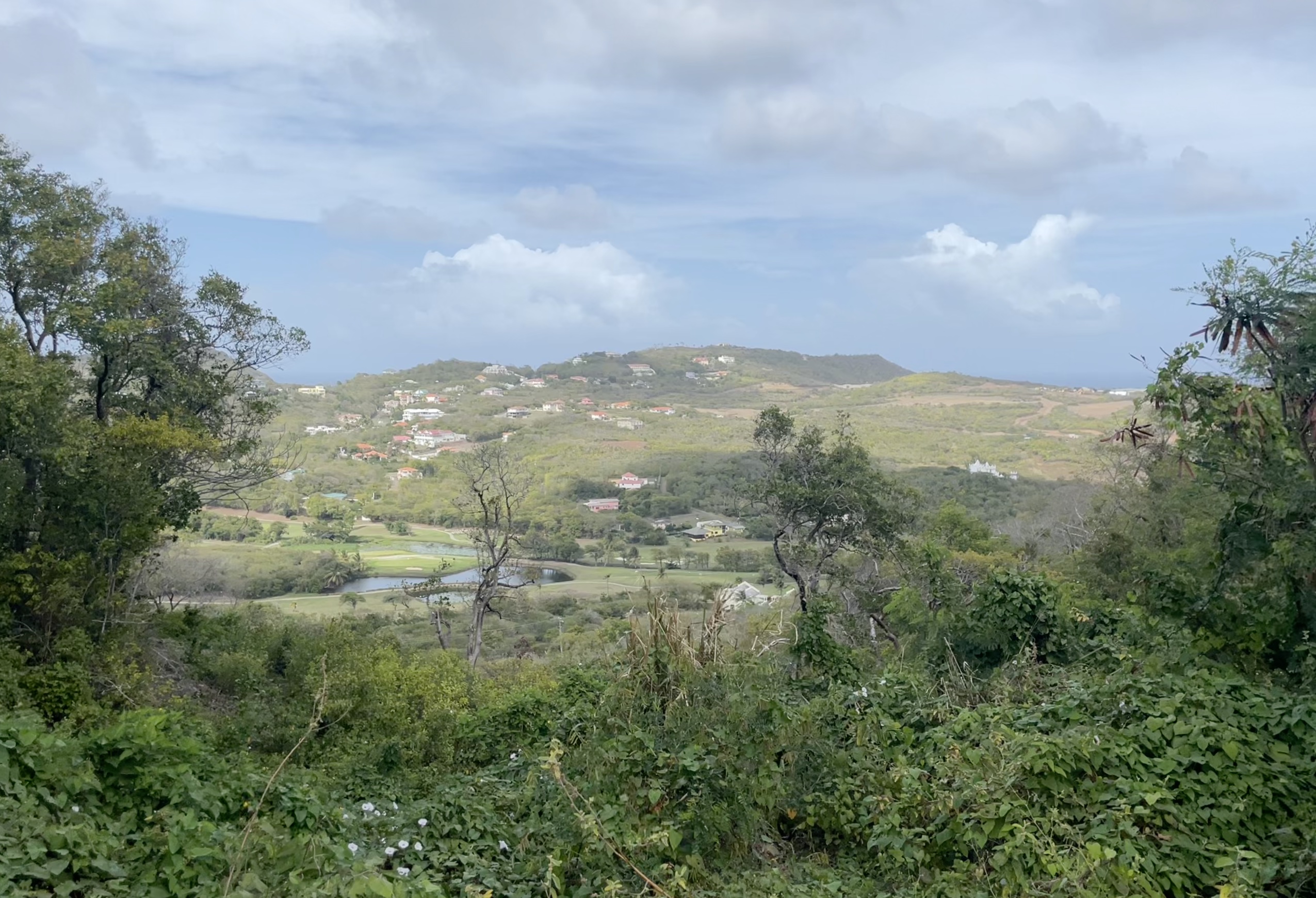 South Hills Cap Estate, 17,222 Sq Ft  Land For Sale