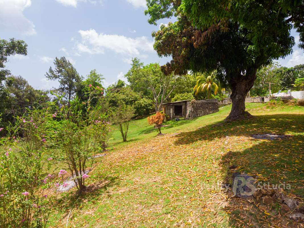 st lucia rea estate 6 Bedroom House For Sale Near Castries mango tree