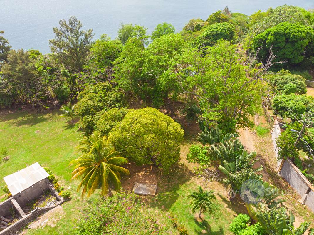 st lucia rea estate 6 Bedroom House For Sale Near Castries trees