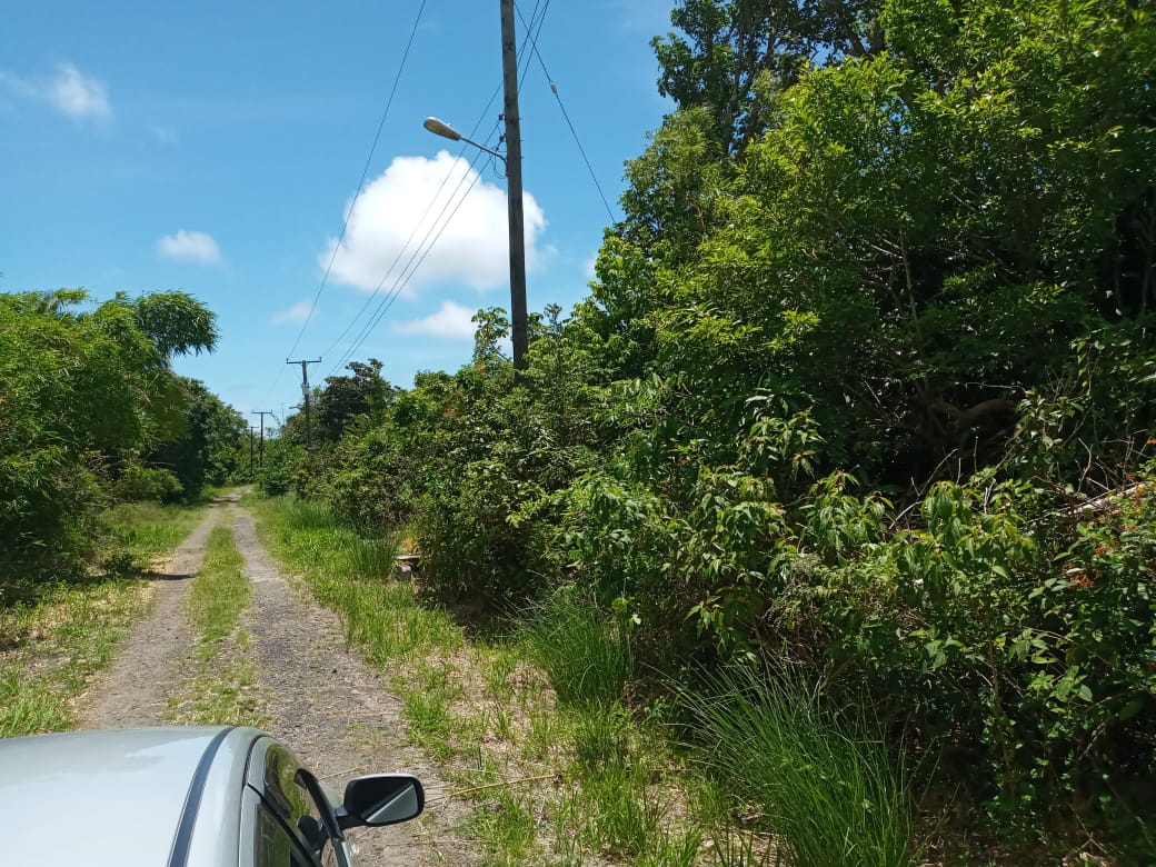 Houses For Sale In St Lucia road