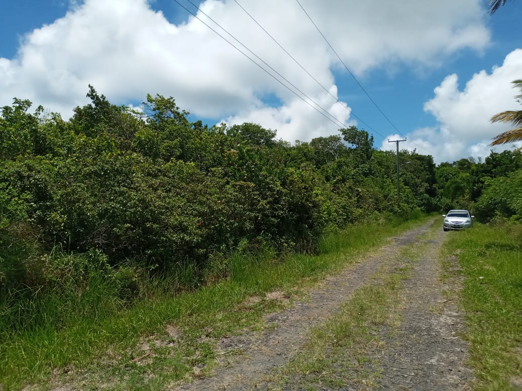 Houses For Sale In St Lucia car