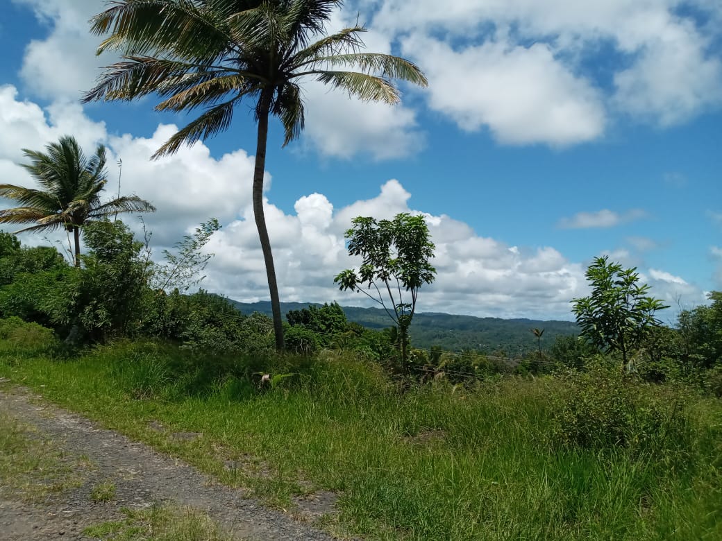 Houses For Sale In St Lucia view