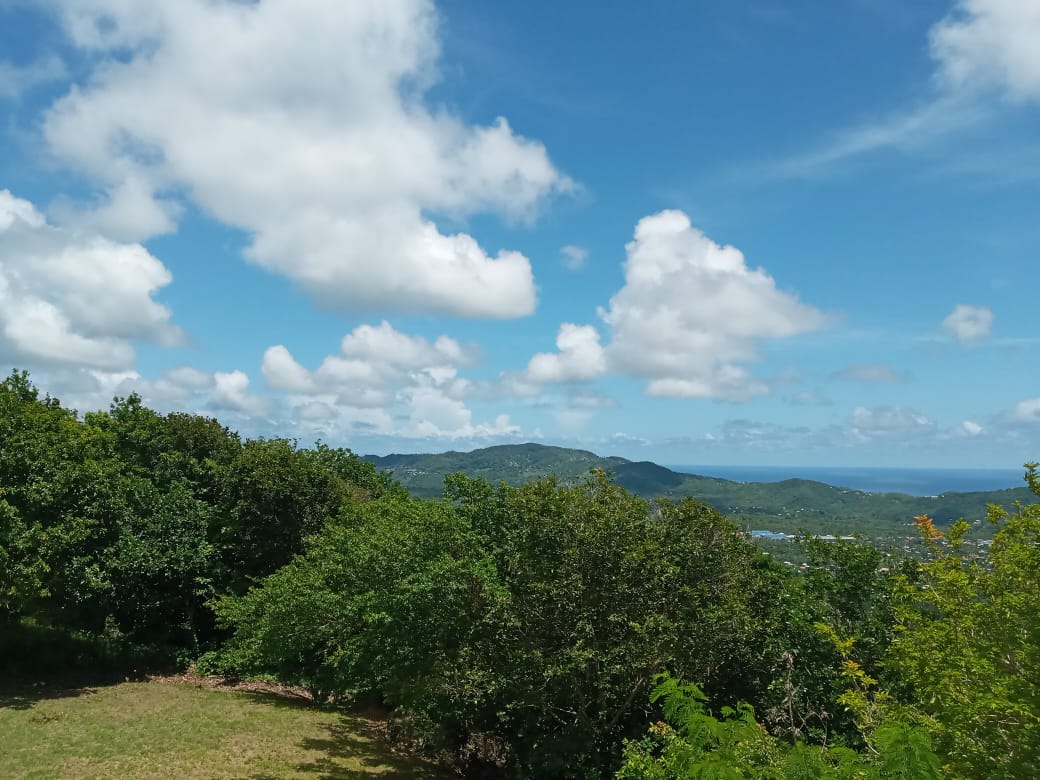 Houses For Sale In St Lucia sea