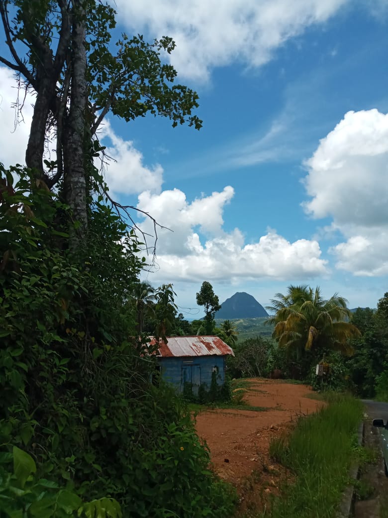 Houses For Sale In St Lucia laborie