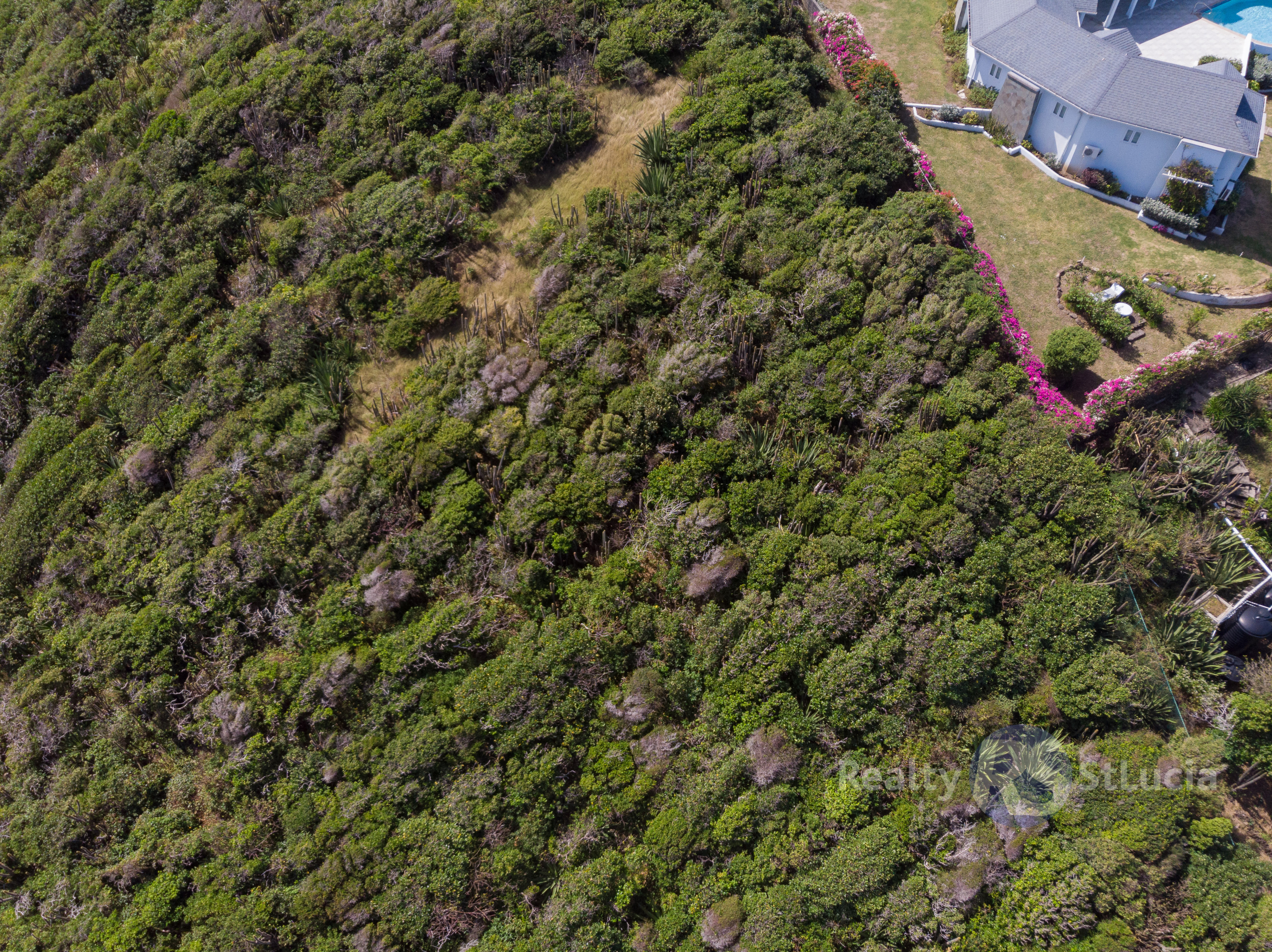 seabreeze hills cap estate St. Lucia Caribbean