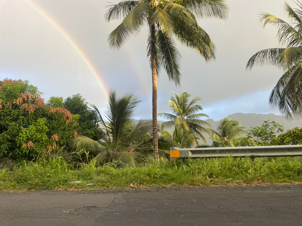 Alien Investor Entrance Permit St Lucia