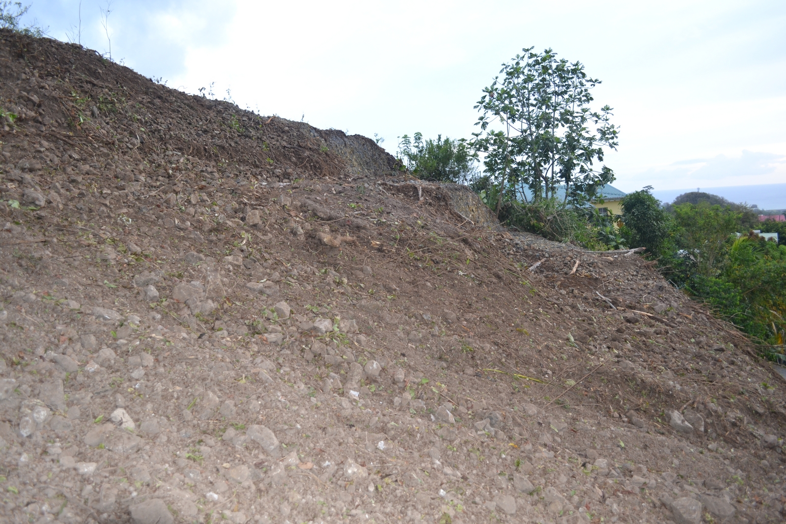 10,600 sq. ft. sea-view lot in Carellie, Castries