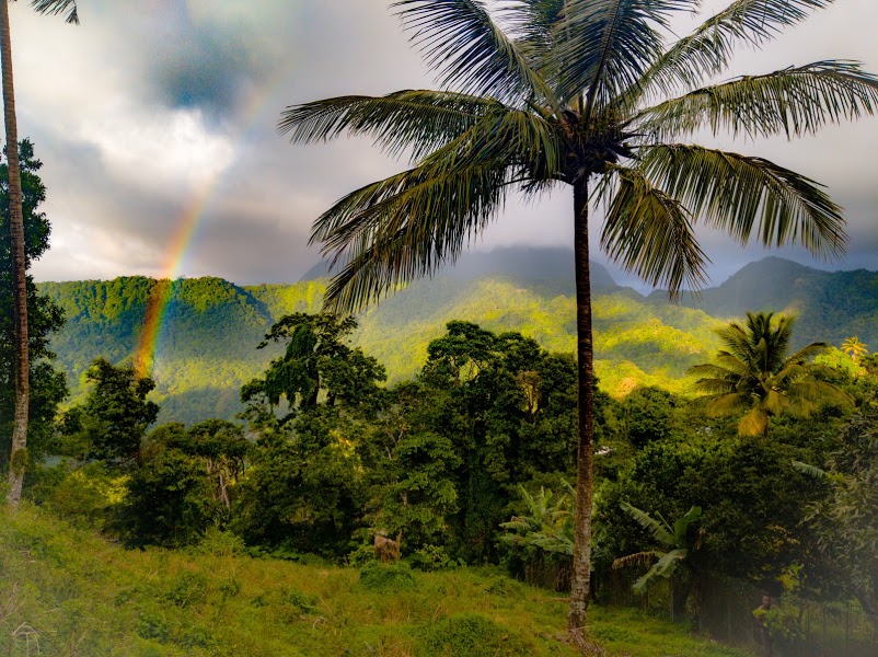 Property For Sale in Soufriere at Bois D’Inde