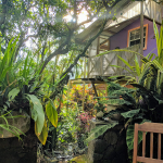 property for sale in soufriere st lucia