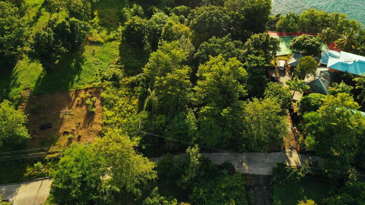 coubaril Castries St Lucia Lot For Sale - 30,669 sq. ft. 1