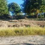 Residential Land for Sale at Canelles Saint Lucia