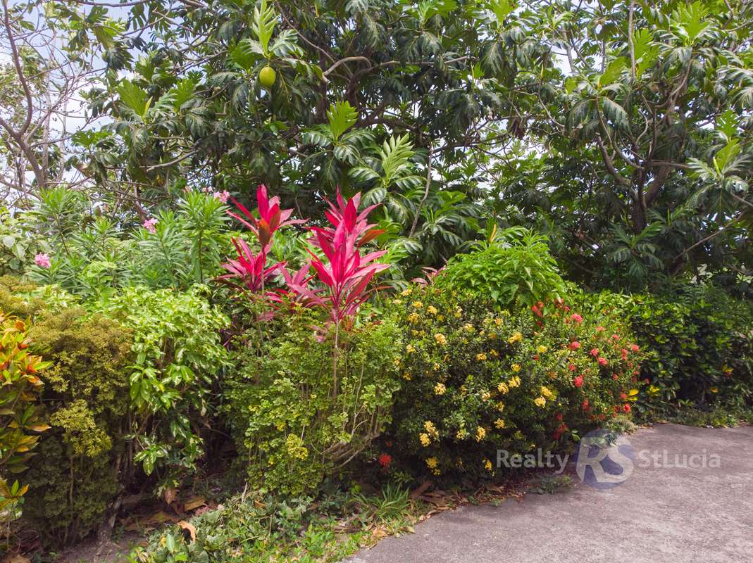 St Lucia real estate Single Family Home in Choiseul on 5 Acres Land flowers