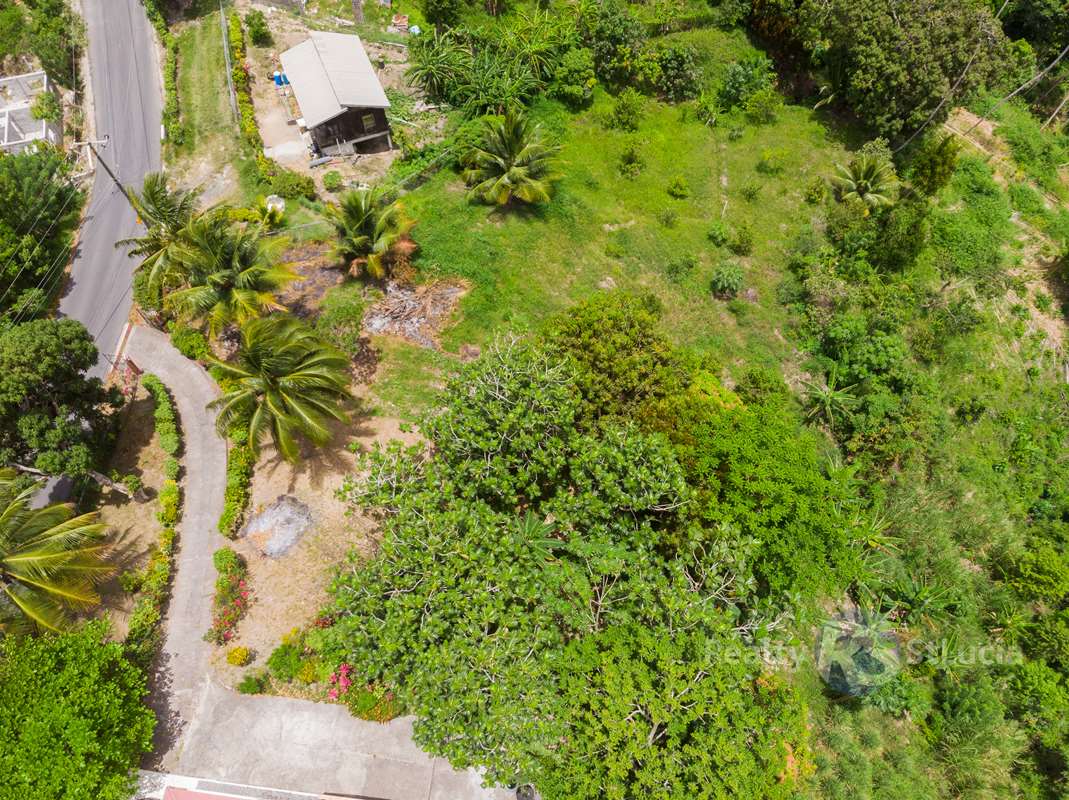 St Lucia real estate Single Family Home in Choiseul on 5 Acres Land green