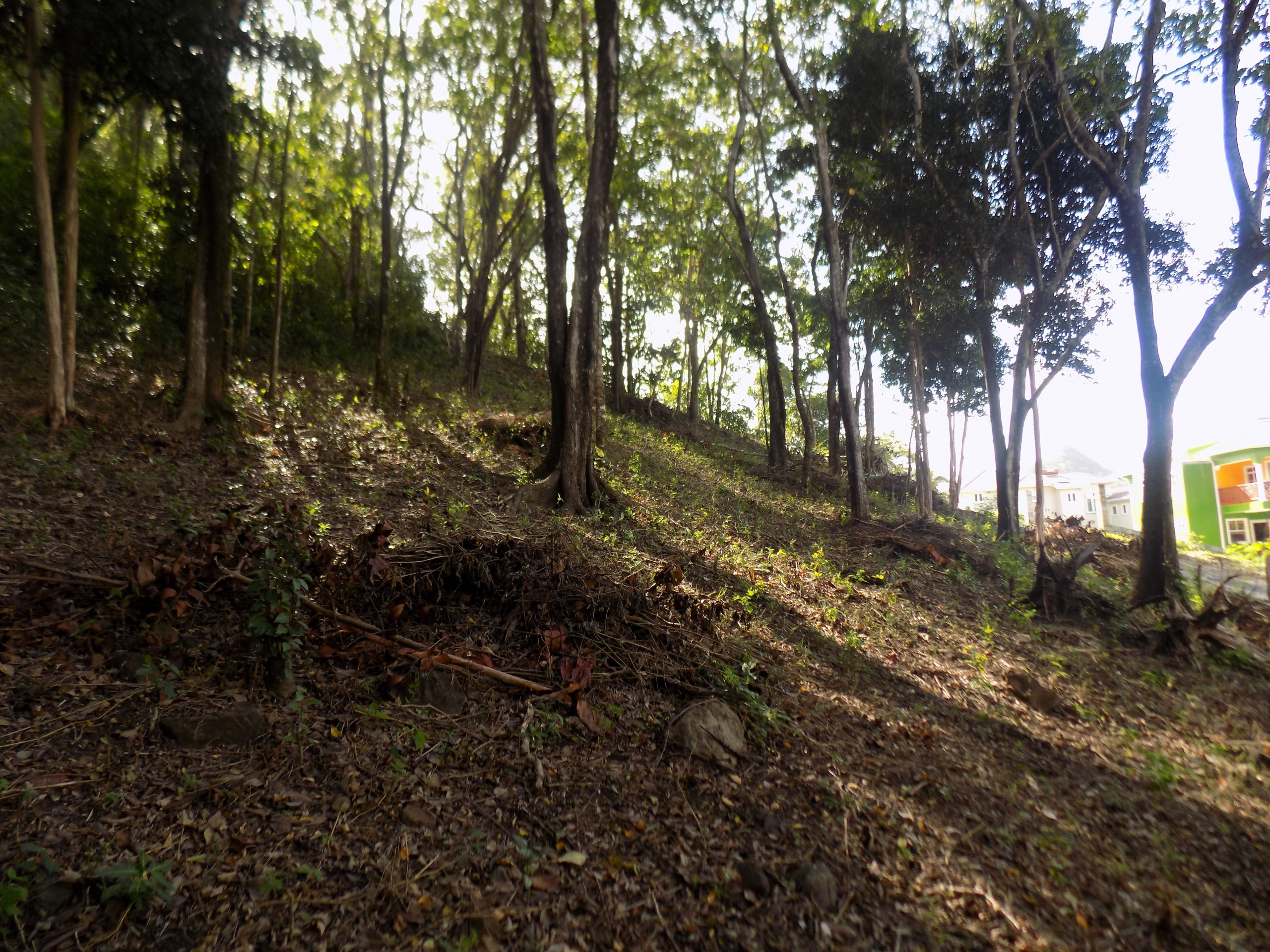 land for sale in St Lucia : St lucia real estate monchy slope