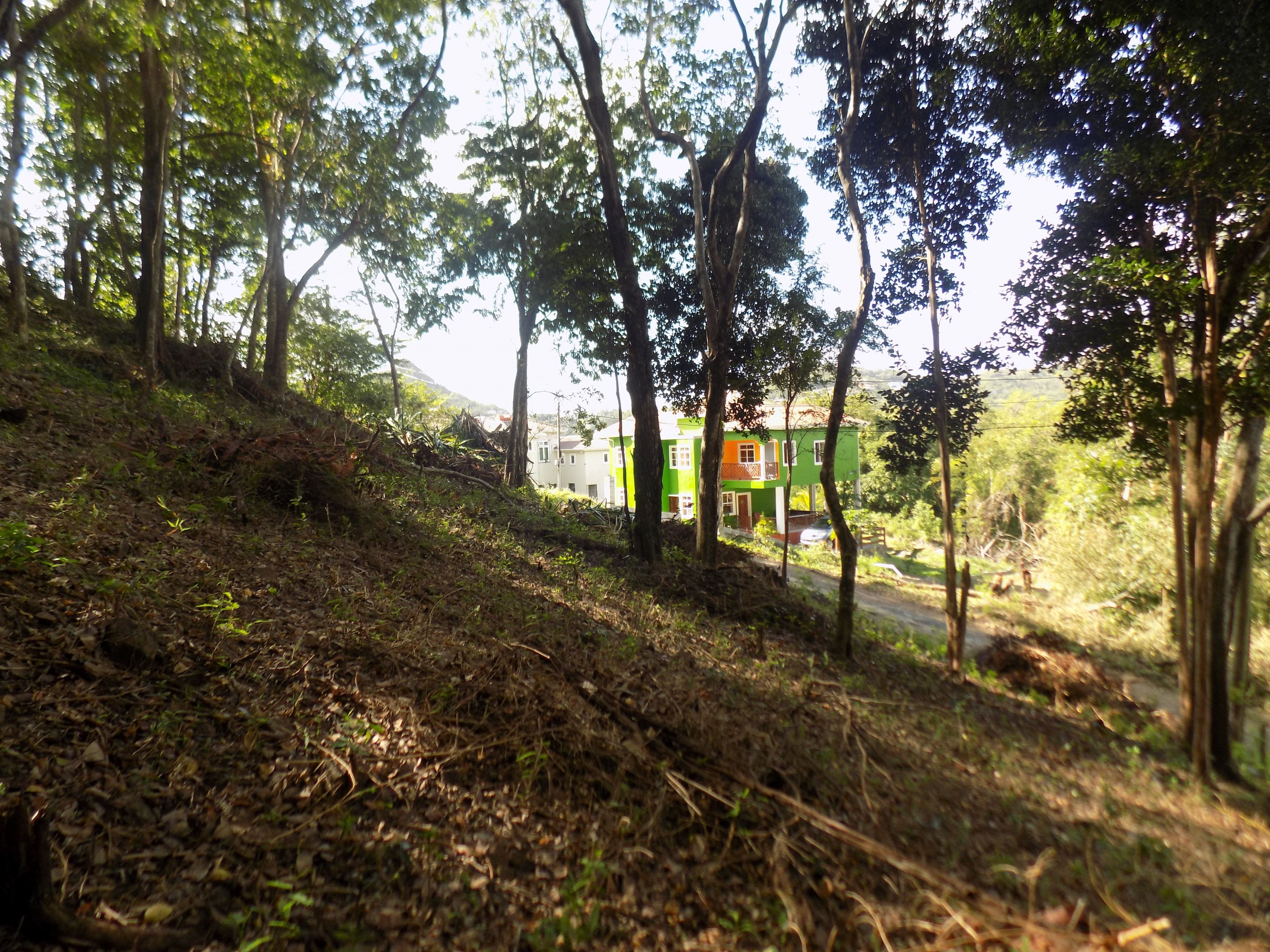 land for sale in St Lucia : St lucia real estate monchy 2