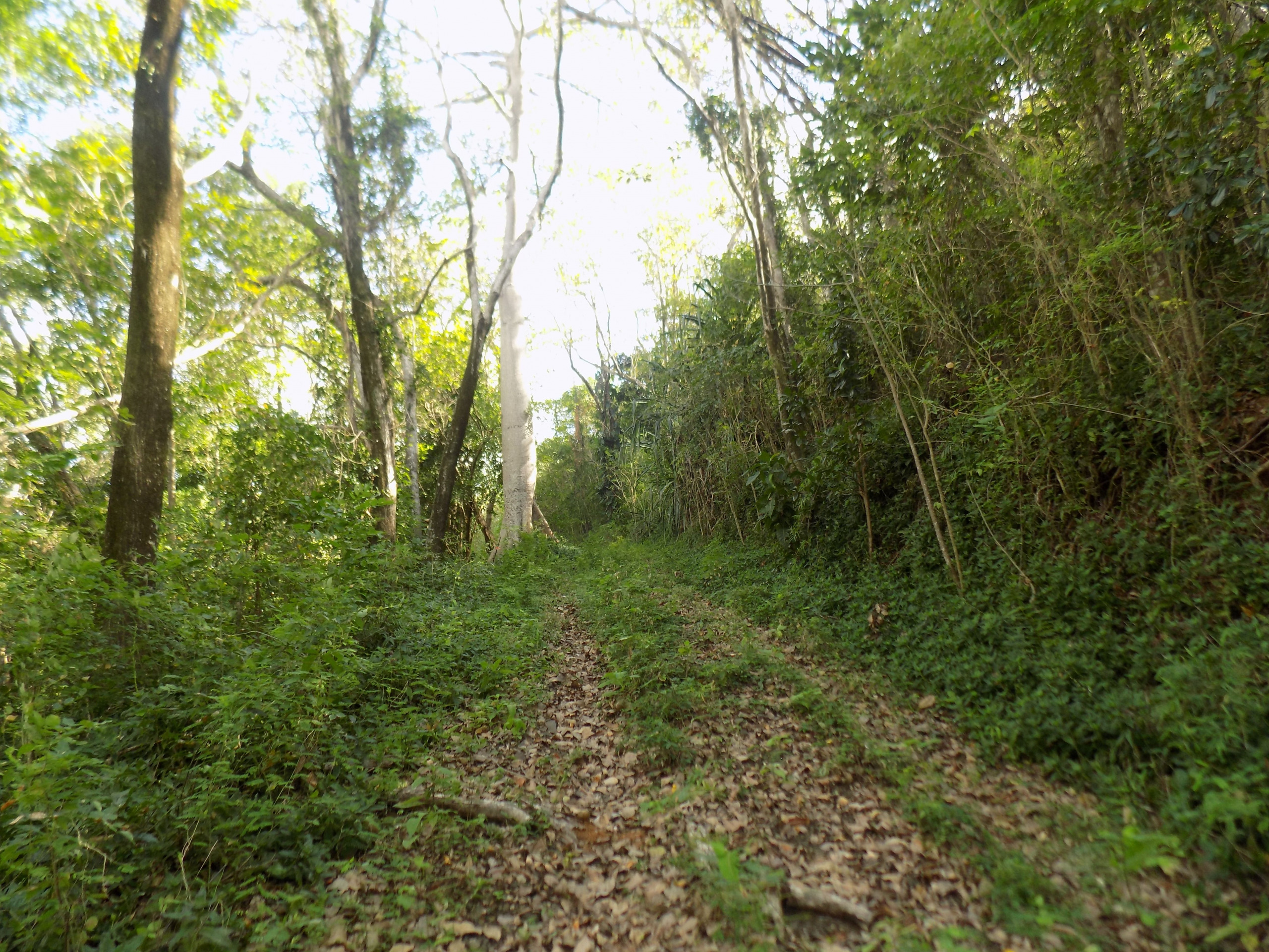 land for sale in St Lucia : St lucia real estate