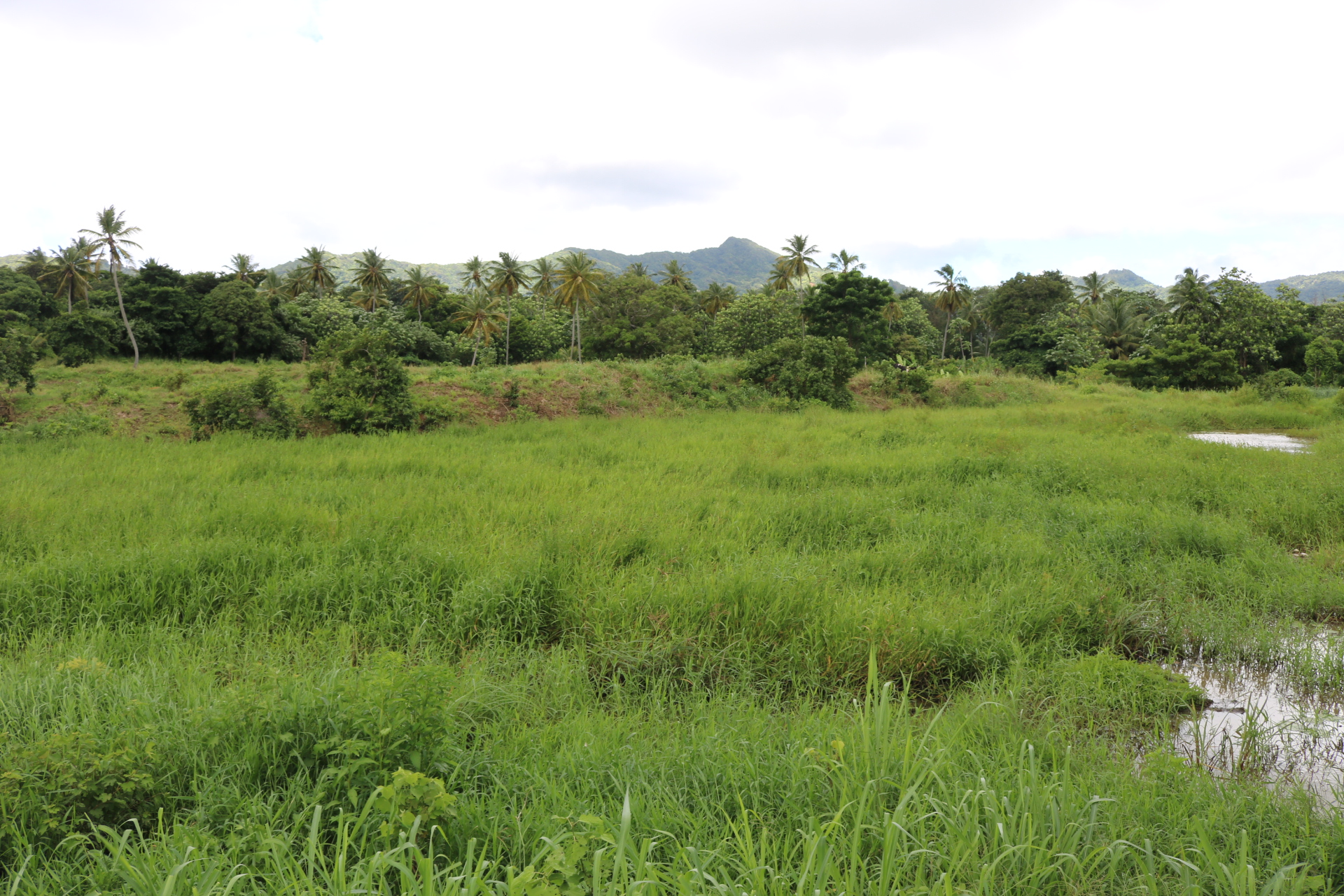 5 Acres Farm Land with 2 Ponds For Sale