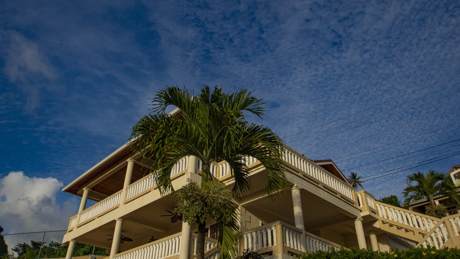 St Lucia Real Estate marigot for sale villa palm tree