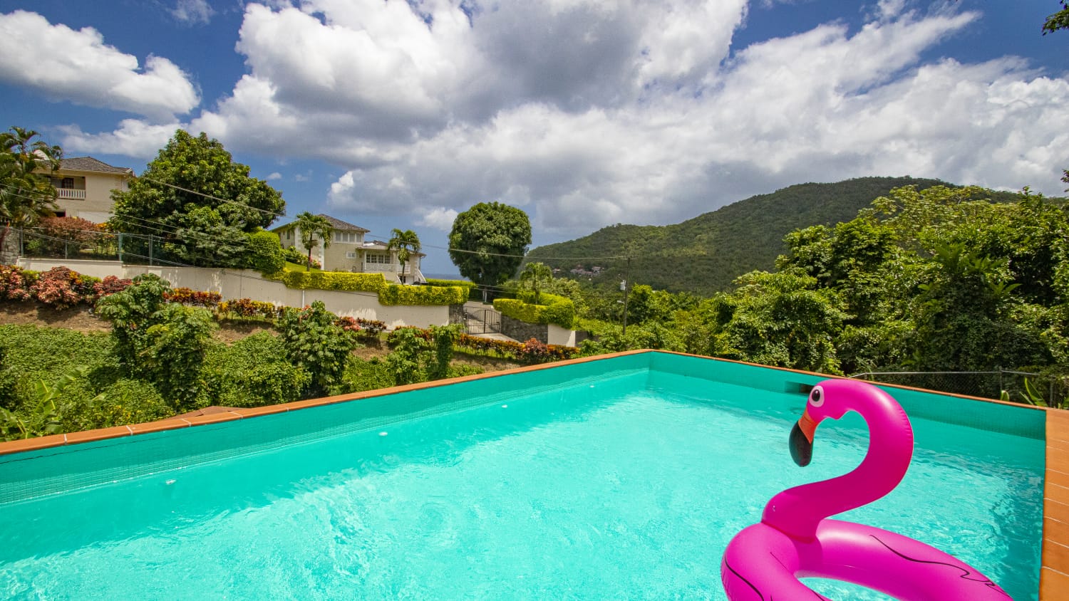 St Lucia Real Estate marigot for sale villa duck