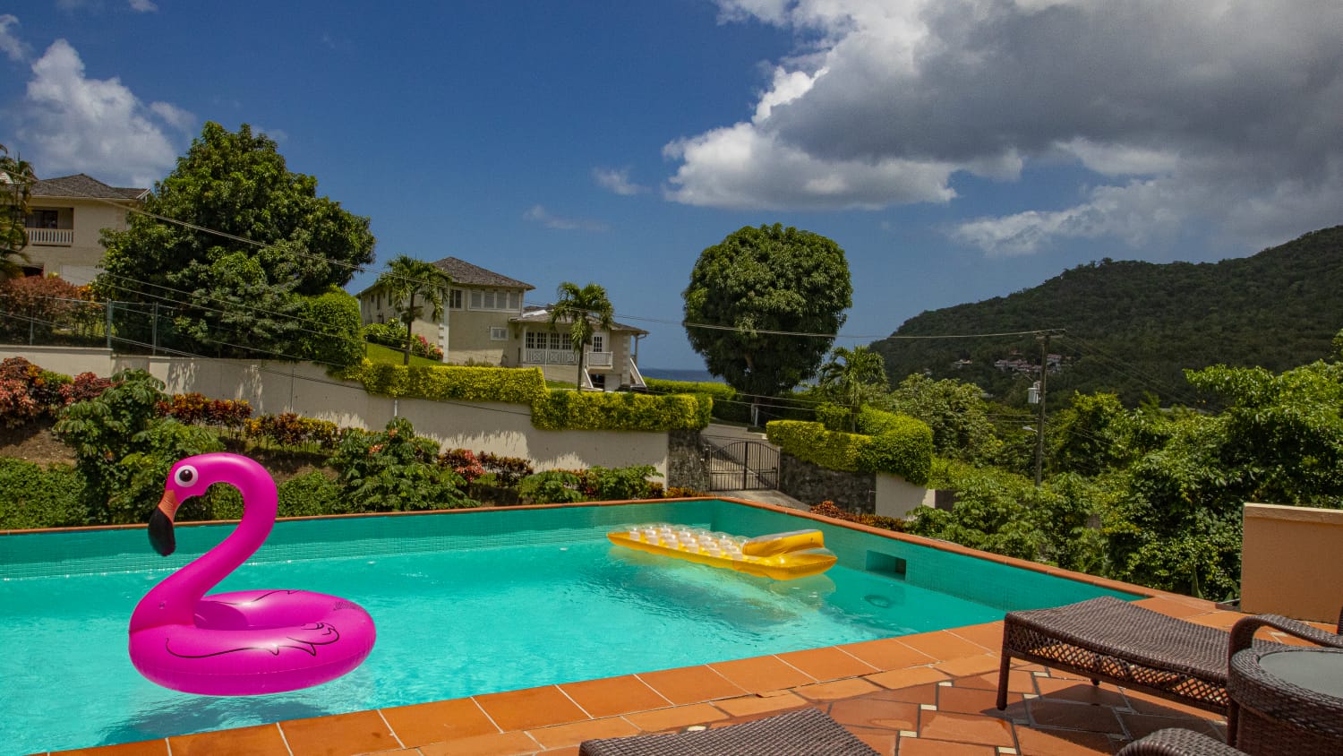 St Lucia Real Estate marigot for sale villa pool
