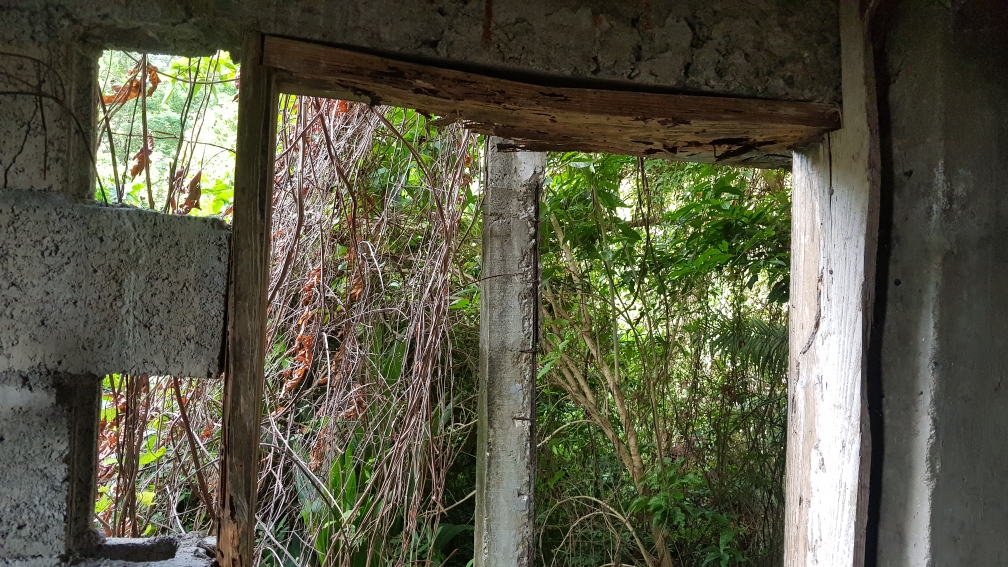 St Lucia Real Estate castries culdesac for sale land house
