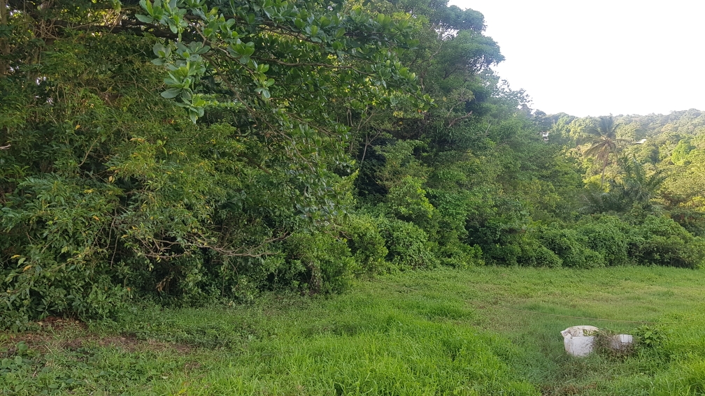 Seaview villa for sale st lucia real estate land