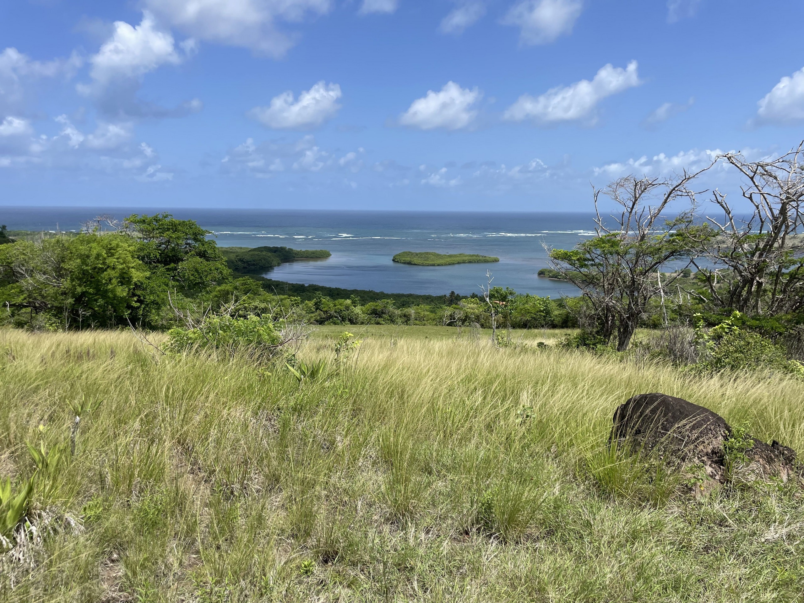 St Lucia Real Estate Villa savannes for sale