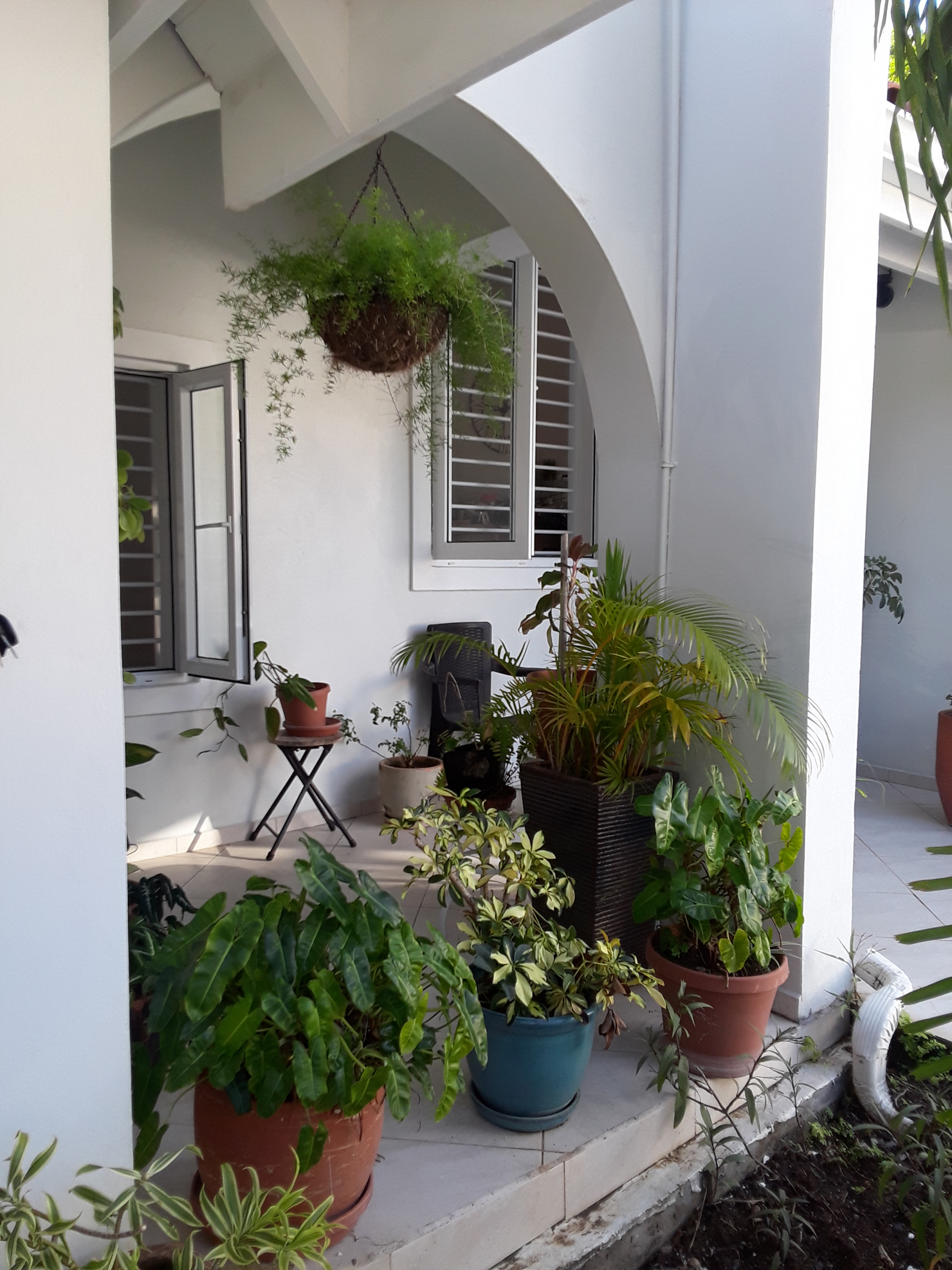 houses forr sale in st lucia flower pots