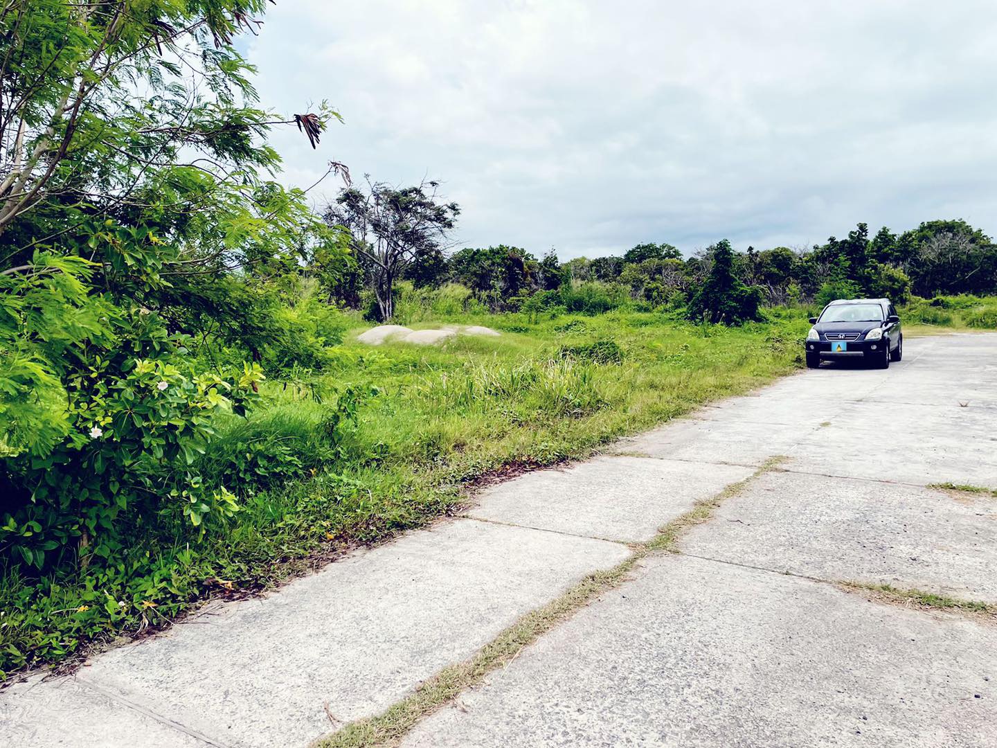 flat land for sale in st lucia vieux st lucia