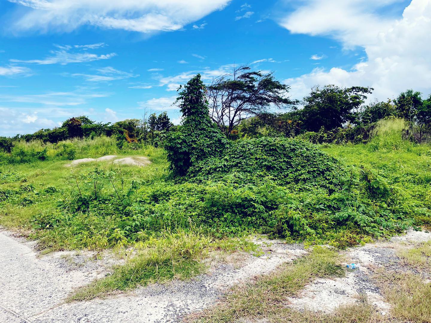 Flat Land For Sale In St Lucia