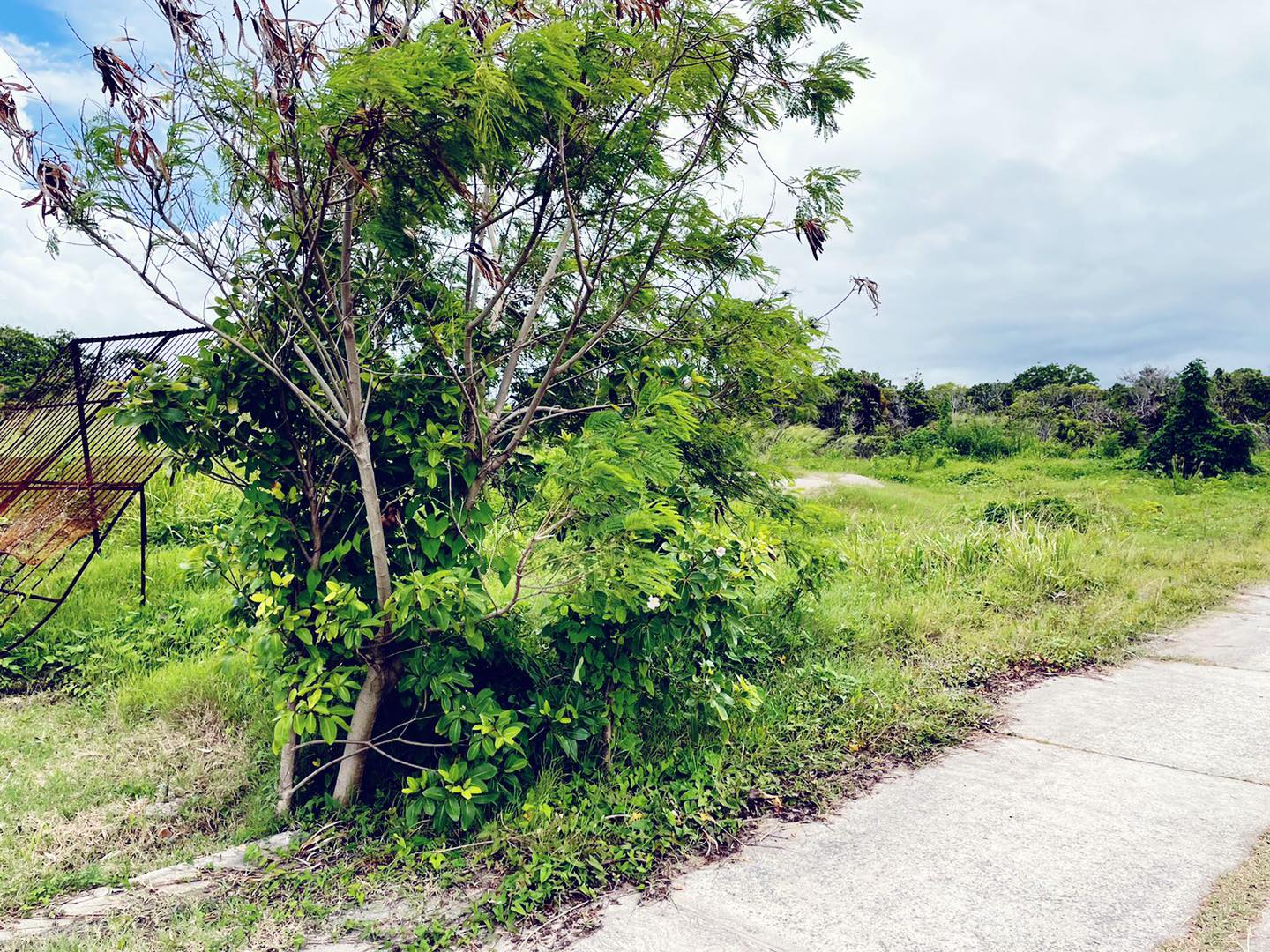flat land for sale in vieux fort st lucia caribbean